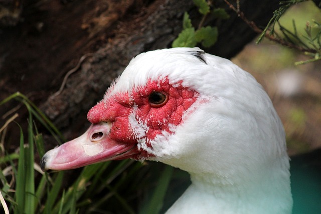 法比奥：足协杯路上每场球都不容易，面对河南要做好200%准备